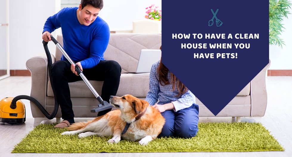 Hacks To Have A Clean Home With Pets - Kwik Pets