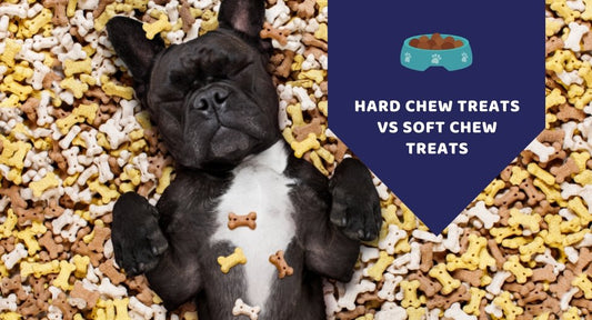 Hard Chew Treats vs Soft Chew: How To Choose The Right Treats - Kwik Pets