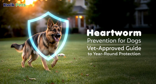 Heartworm Prevention for Dogs