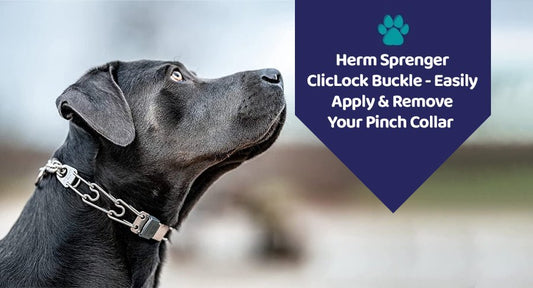 Herm Sprenger ClicLock Buckle - Easily Apply & Remove Your Pinch Collar - Kwik Pets