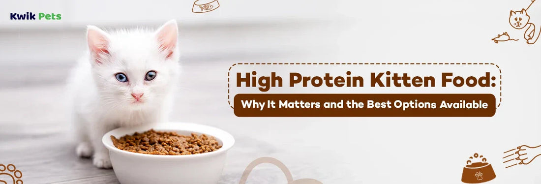 High Protein Kitten Food