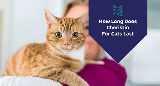How Long Does Cheristin For Cats Last - Kwik Pets
