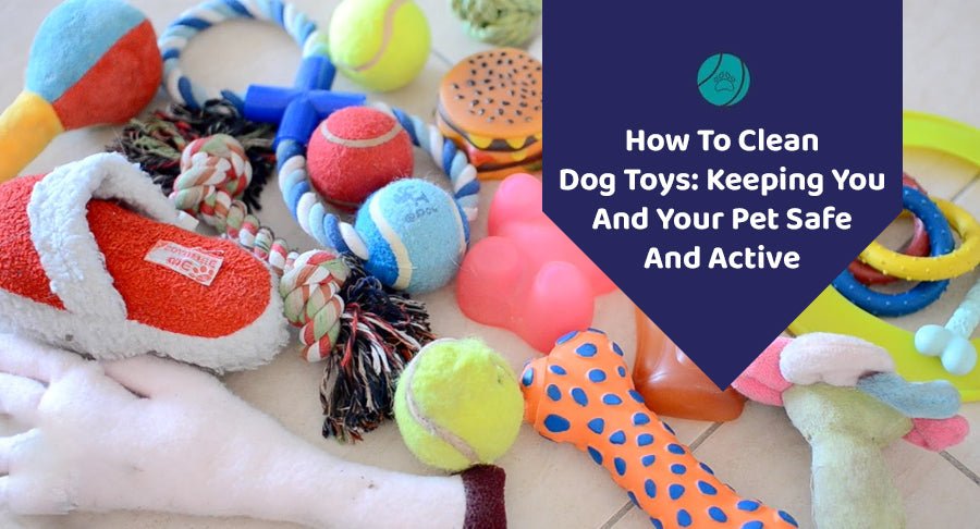 How To Clean Dog Toys: Keeping You And Your Pet Safe And Active - Kwik Pets