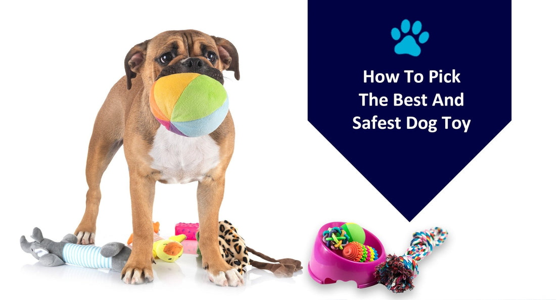How To Pick The Best And Safest Dog Toy? - Kwik Pets