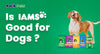 Is IAMS Good for Dogs?