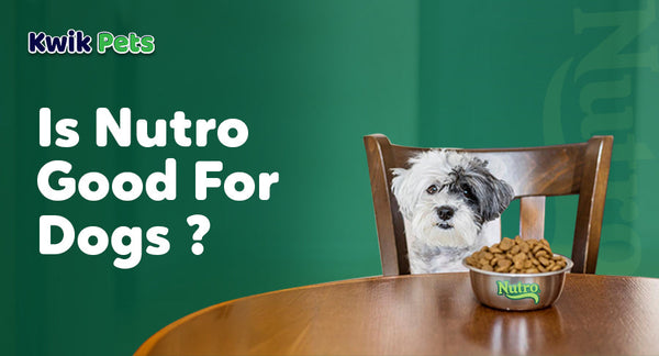 nutro dog food