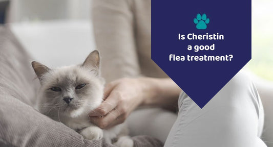 Is Cheristin A Good Flea Treatment? - Kwik Pets