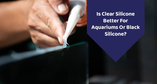 Is Clear Silicone Better For Aquariums Or Black Silicone? - Kwik Pets