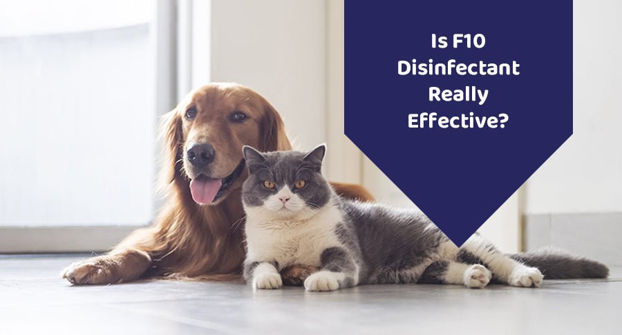 Is F10 Disinfectant Really Effective? - Kwik Pets