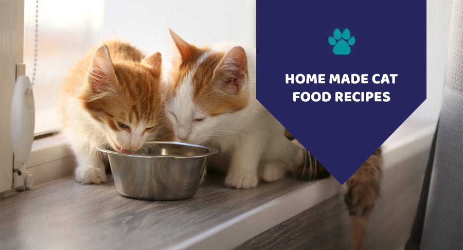 Is Homemade Food Healthy For Felines? Some Homemade Cat Food Recipes - Kwik Pets