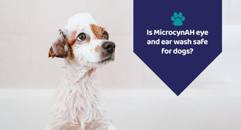Is Microcynah Eye And Ear Wash Safe For Dogs?