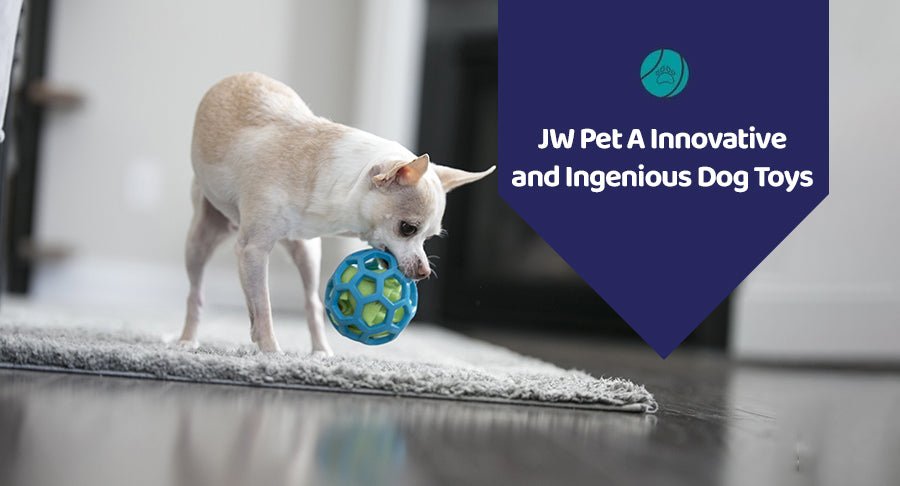 JW Pet A Innovative and Ingenious Dog Toys