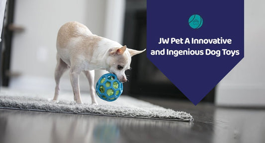 JW Pet A Innovative and Ingenious Dog Toys - Kwik Pets
