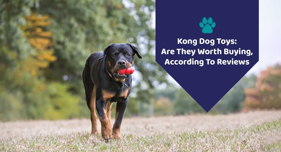 KONG Dog Toys: Are They Worth Buying, According To Reviews