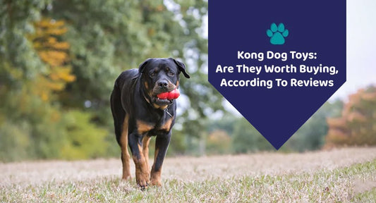 KONG Dog Toys: Are They Worth Buying, According To Reviews - Kwik Pets