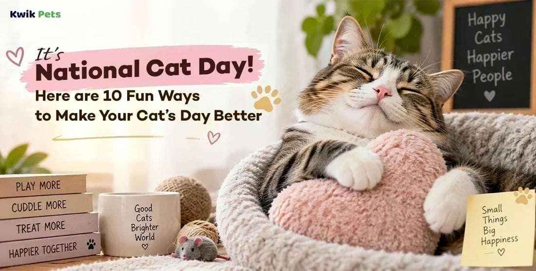 National Cat Day