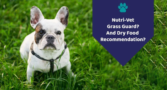 Nutri-Vet Grass Guard? And Dry Food Recommendation? - Kwik Pets