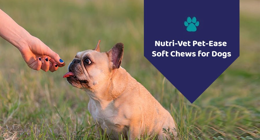 Nutri-Vet Pet-Ease Soft Chews for Dogs