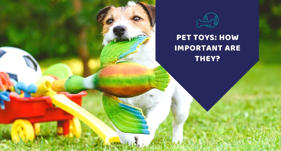 Pet Toys: How Important Are They?