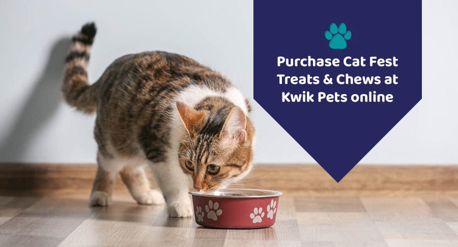 Purchase Cat Fest Treats & Chews at Kwik Pets online - Kwik Pets
