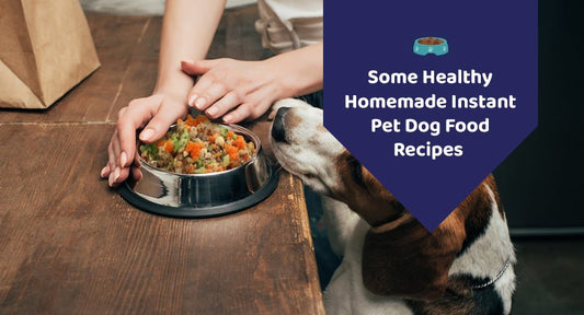 Some Healthy Homemade Instant Pet Dog Food Recipes - Kwik Pets