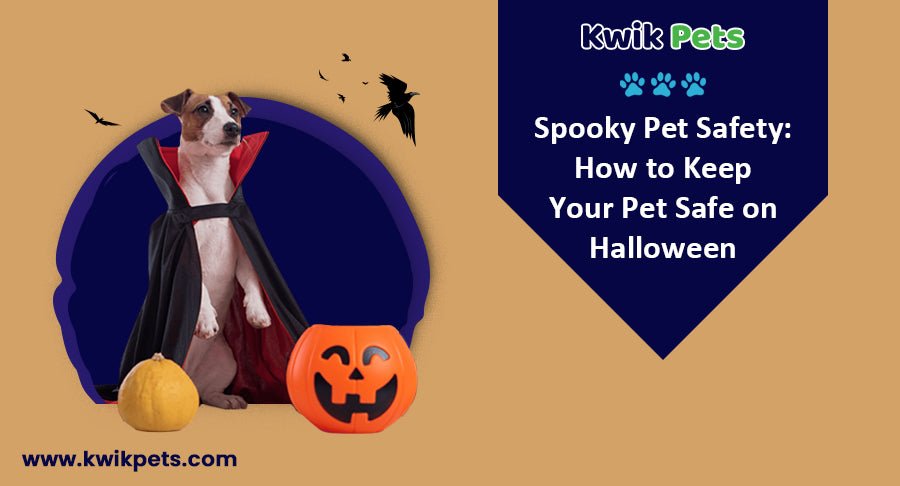 Spooky Pet Safety: How to Keep Your Pet Safe on Halloween - Kwik Pets