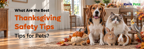 What Are the Best Thanksgiving Safety Tips for Pets ?