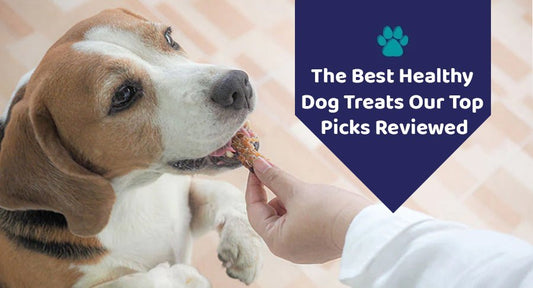 The Best Healthy Dog Treats: Our Top Picks Reviewed - Kwik Pets