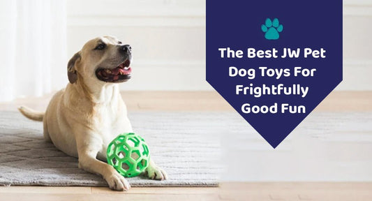The Best JW Pet Dog Toys for Frightfully Good Fun - Kwik Pets