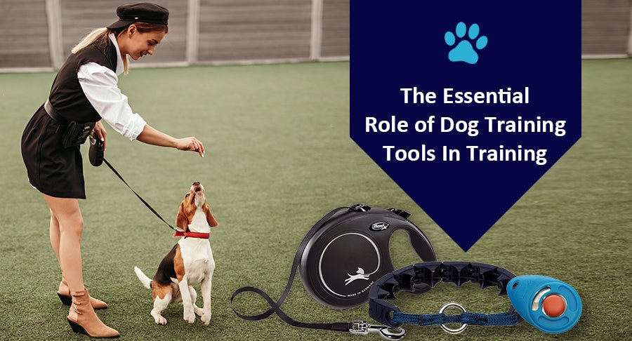 The Essential Role of Dog Training Tools In Training - Kwik Pets
