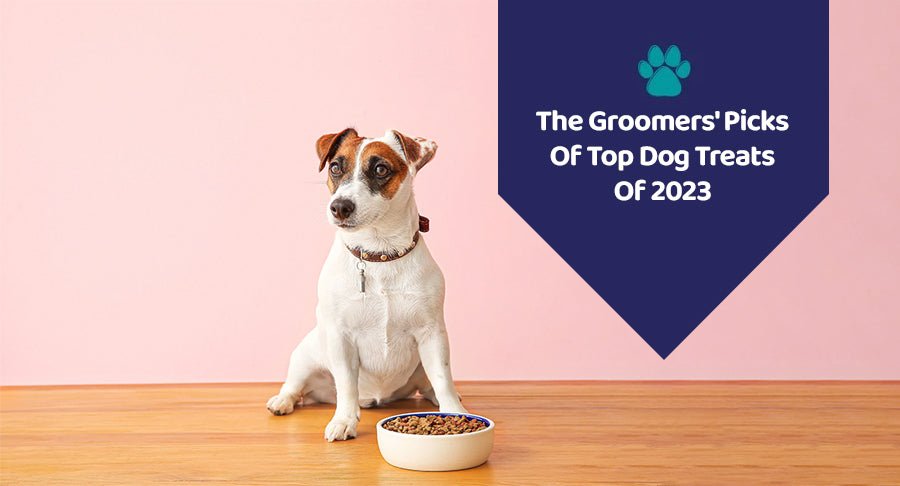 The Groomers' Picks Of Top Dog Treats Of 2023