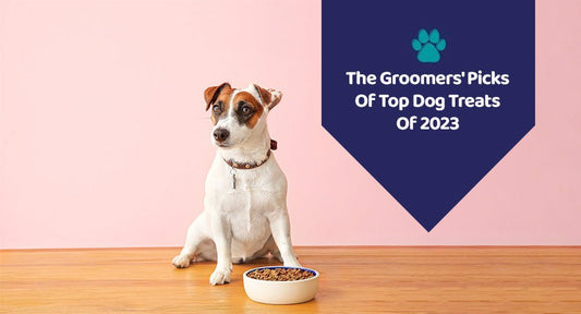 The Groomers' Picks Of Top Dog Treats Of 2023 - Kwik Pets