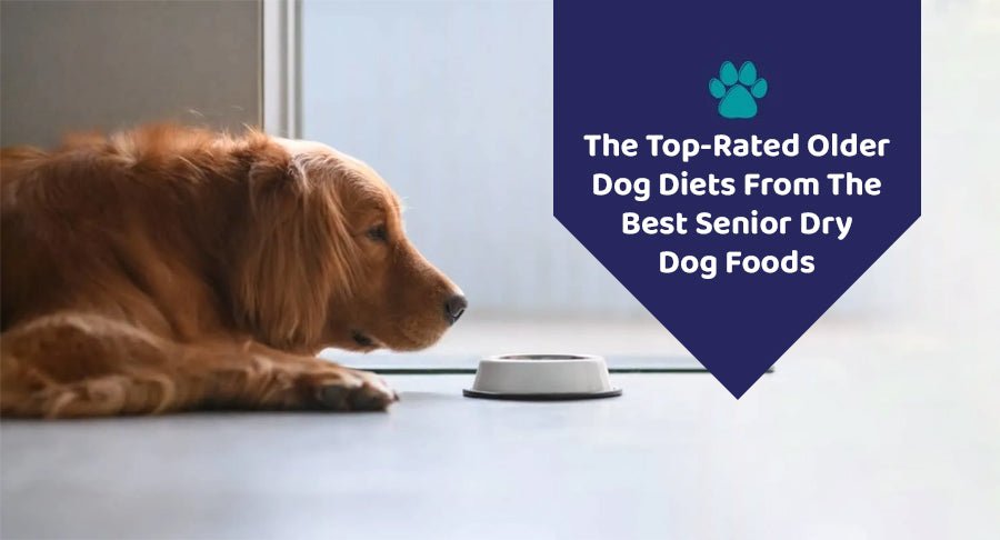 The Top-Rated Older Dog Diets From The Best Senior Dry Dog Foods