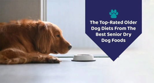 The Top-Rated Older Dog Diets From The Best Senior Dry Dog Foods - Kwik Pets