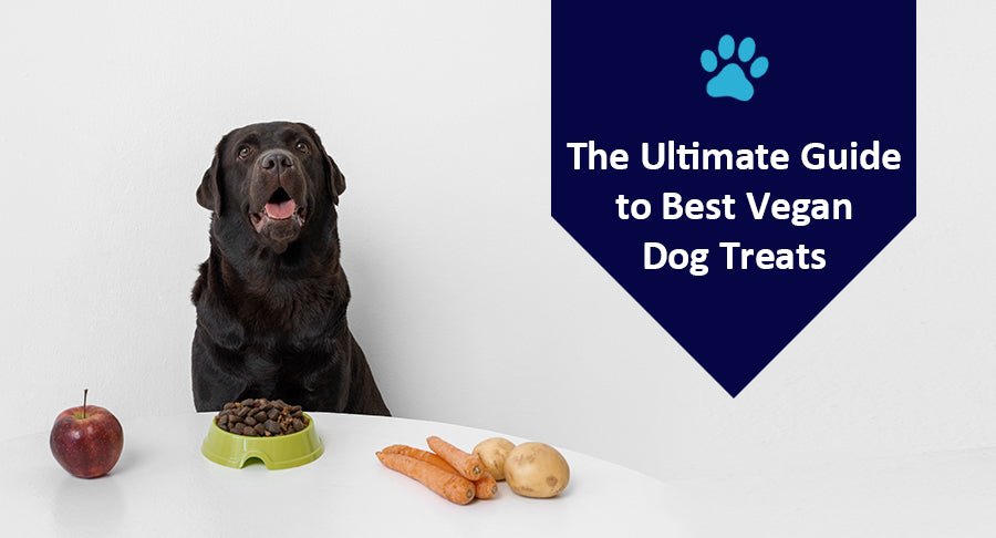 The Ultimate Guide to Best Vegan Dog Treats: Recipes and Recommendations for Small Dogs - Kwik Pets
