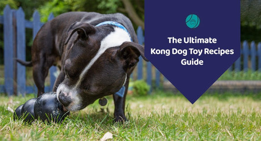 The Ultimate Kong Dog Toy Recipes Guide - Kwik Pets