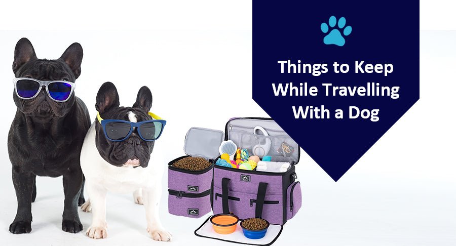 Things to Keep While Travelling With a Dog - Kwik Pets