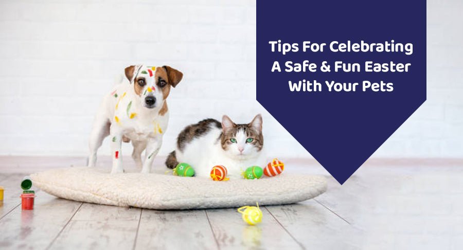 Tips For Celebrating A Safe & Fun Easter With Your Pets