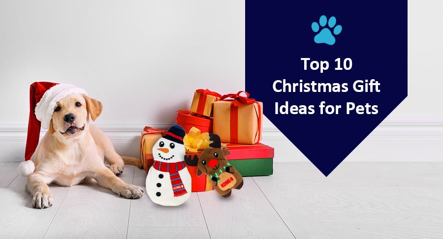 Top 10 Christmas Gift Ideas for Pets in 2023 - Kwik Pets