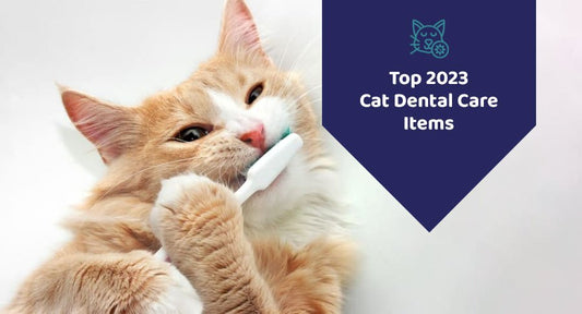 Top 2023 Cat Dental Care Items - Kwik Pets