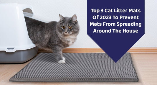 Top 3 Cat Litter Mats Of 2023 To Prevent Mats From Spreading Around The House - Kwik Pets