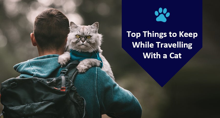 Top Things to Keep While Travelling With a Cat - Kwik Pets