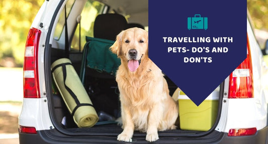 Travelling with pets- Do's an Don'ts - Kwik Pets