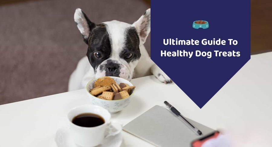 Ultimate Guide To Healthy Dog Treats - Kwik Pets