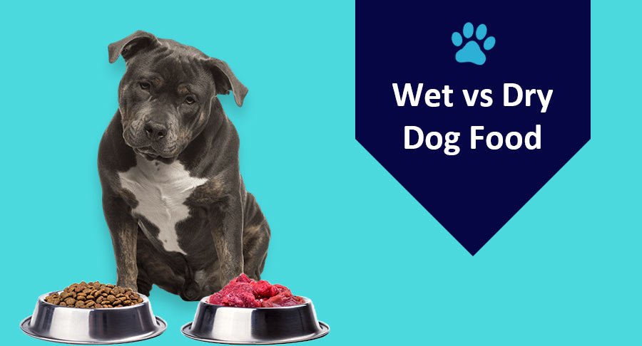 Wet vs Dry Dog Food: A Depth Comparison - Kwik Pets