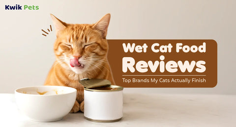Wet Cat Food Reviews 2026: Top Brands My Cats Actually Finish