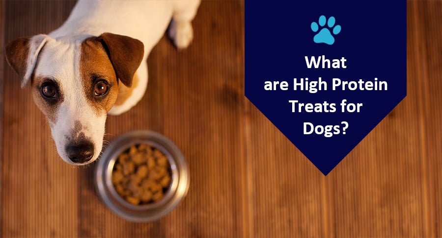 What are High Protein Treats for Dogs?