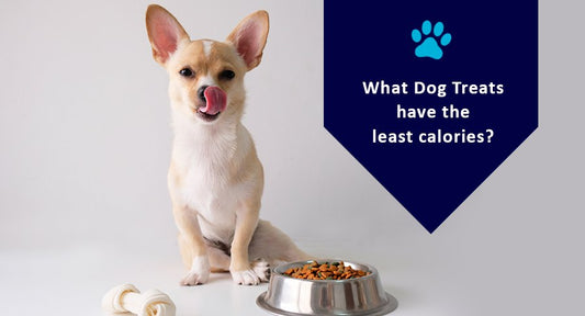 What Dog Treats Have The Least Calories? - Kwik Pets