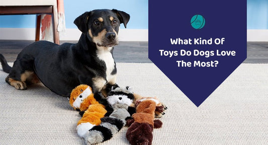 What Kind Of Toys Do Dogs Love The Most? - Kwik Pets