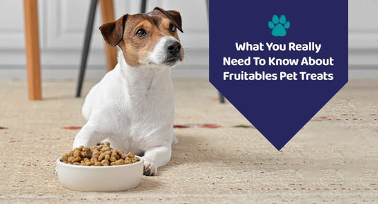 What You Really Need To Know About Fruitables Pet Treats? - Kwik Pets